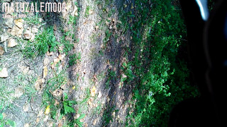VID_20160908_135355.mp4