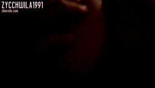 zycCHWILA1991
