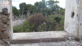 MVI_8770.MOV