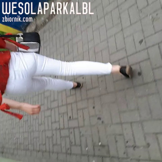1.mp4