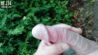 VID_20190518_092340.mp4