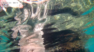20190723_160409.MOV