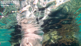 20190723_160409.MOV