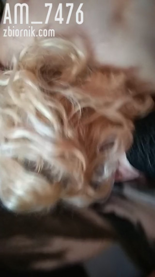 VID_20191105_143712.mp4