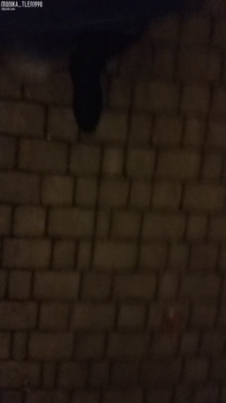 VID_20191211_002440.mp4