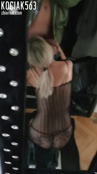 kociak563