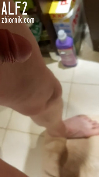 20200116_232739.mp4