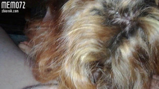VID_20200203_085311.mp4