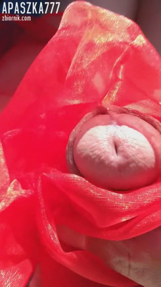 20200423_153336.mp4