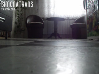 SimonaTrans