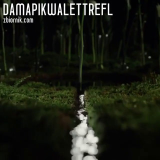 damapikwalettrefl