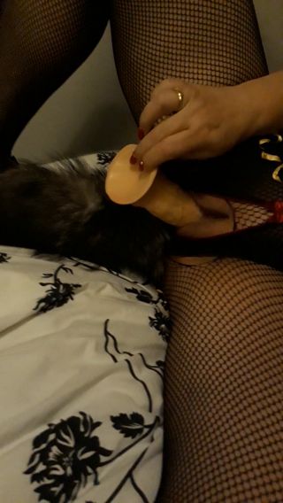 20201004_231302.mp4