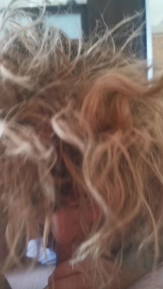 porannie.mp4