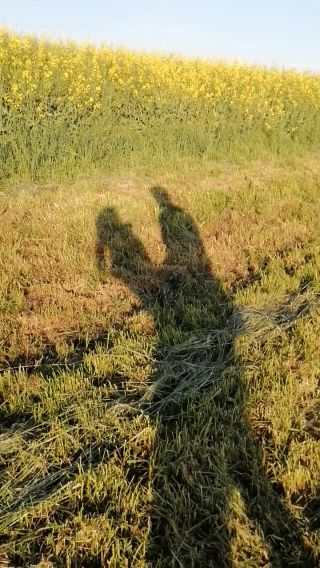 Plenerkowa gra cieni.mp4