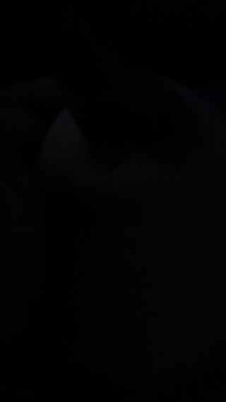 20210607_055427.mp4