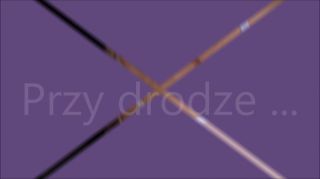 Przy drodze ...