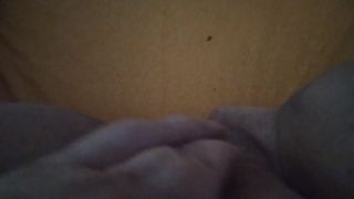 Poranne pieszczoty