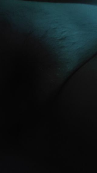 rubens19