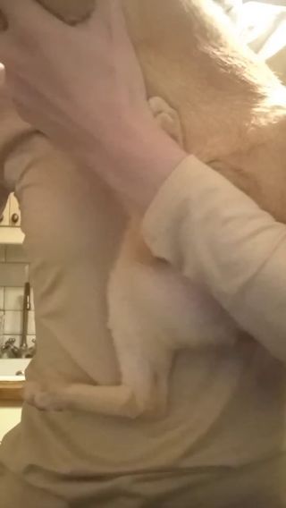 video_2021-11-12_21-50-19.mp4