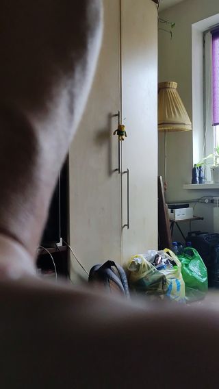 VID_20211117_092510.mp4