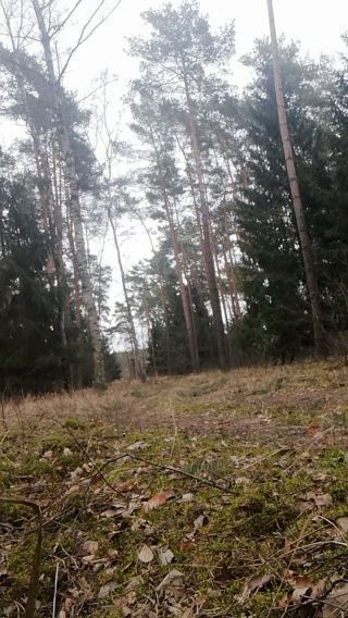 VID_20220304_113744.mp4
