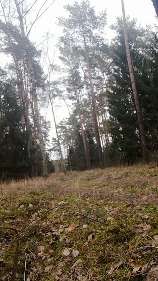 VID_20220304_113744.mp4