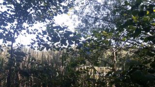 20220605_162015.mp4