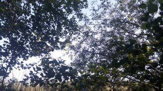 20220605_162015.mp4