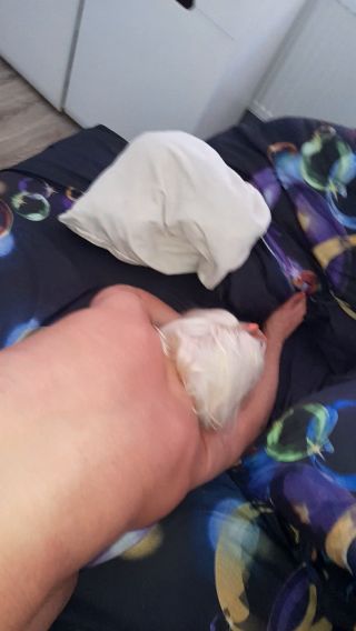 20220605_163818.mp4