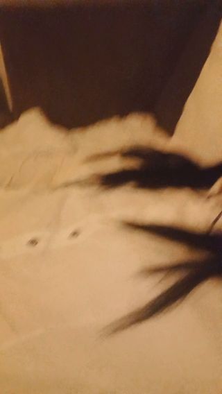 VID_20221002_035225.mp4