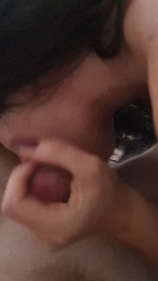 20221106_072644.mp4