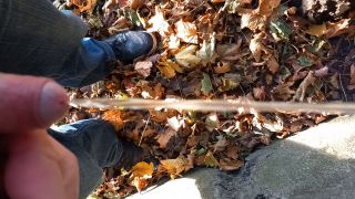 20221110_155042.mp4