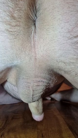 1000000288.mp4