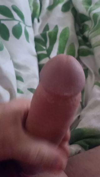 Skorpioner74