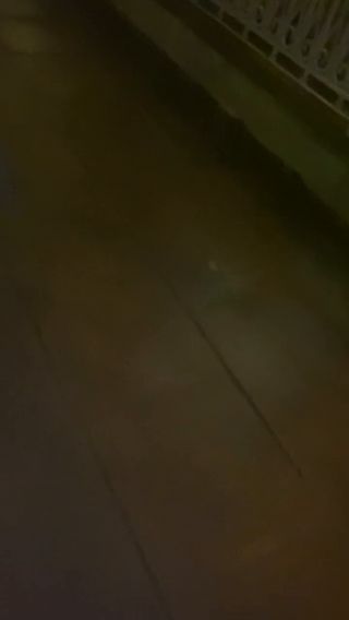 trim.4B0ACBD8-D482-49AA-AAF6-6F51F071AC9D.MOV