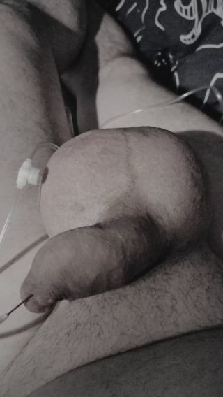 VID_20230310010932.mp4