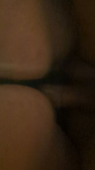 Xpara40