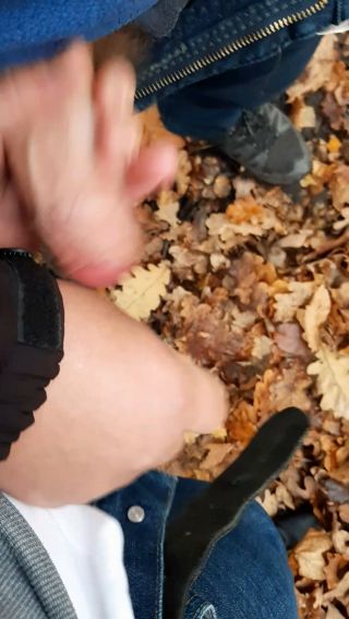 20221121_151022.mp4