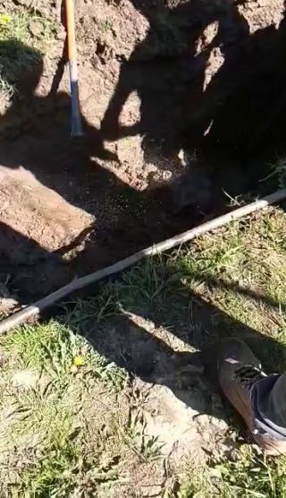 E2250F18-C6F3-4DBF-B104-5E3132BA4848.mov