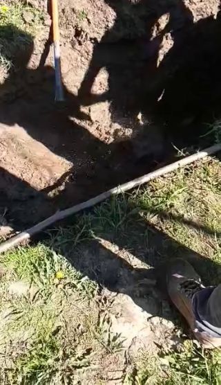 E2250F18-C6F3-4DBF-B104-5E3132BA4848.mov