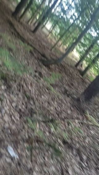 VID_20230908_183403.mp4