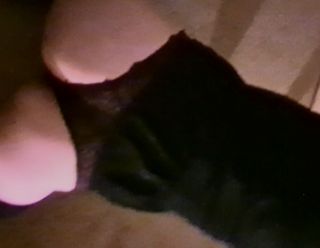 20231229_054641.mp4