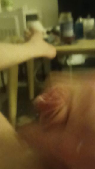 Sloniu80