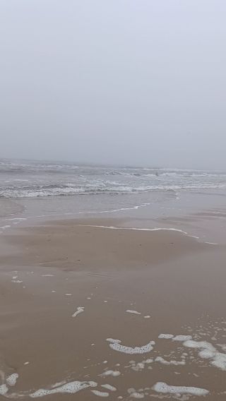 VID_20240211_095324946.mp4