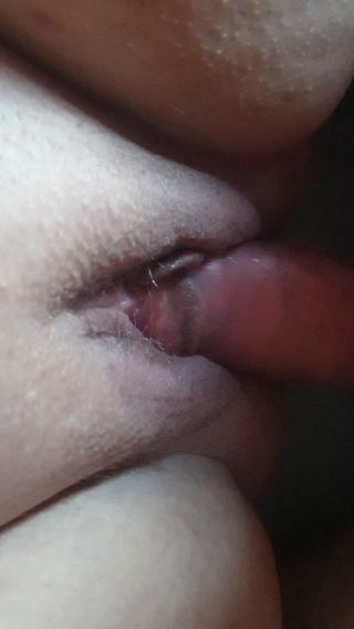 Podniecenie 