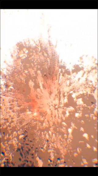 lv_7343399102803217684_20240323225801.mp4