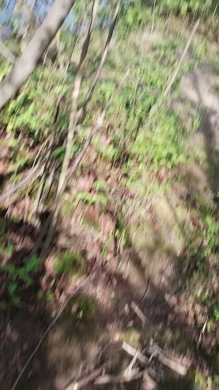 VID_20240407_105533511.mp4