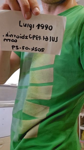 Luigi1990