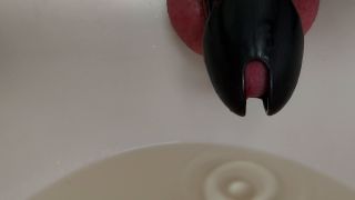 20240803_143746.mp4
