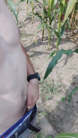 VID_20240810_104713.mp4